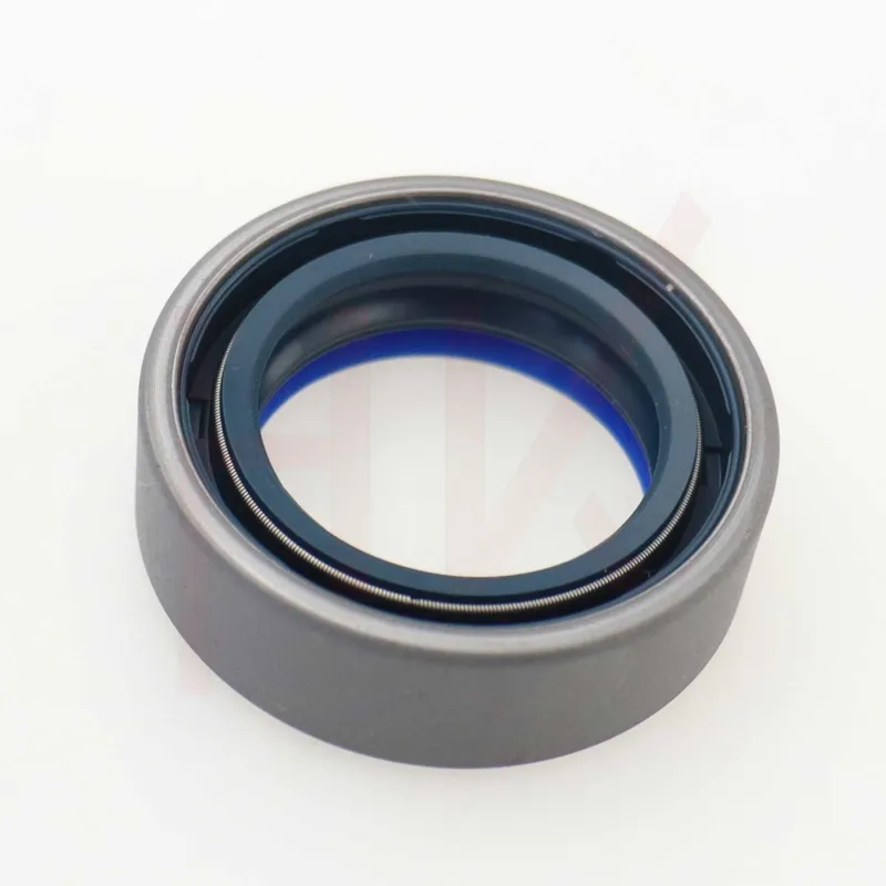 17x30x7 oil seal