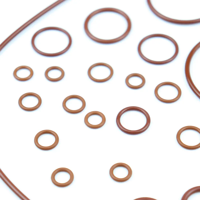 rotary oil seals