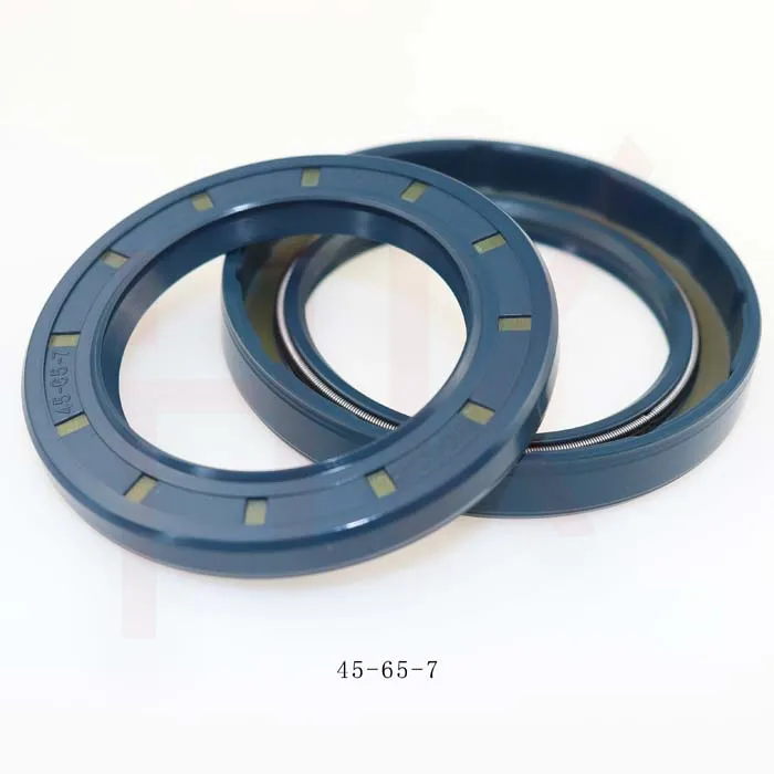 engine hoist cylinder seal kit