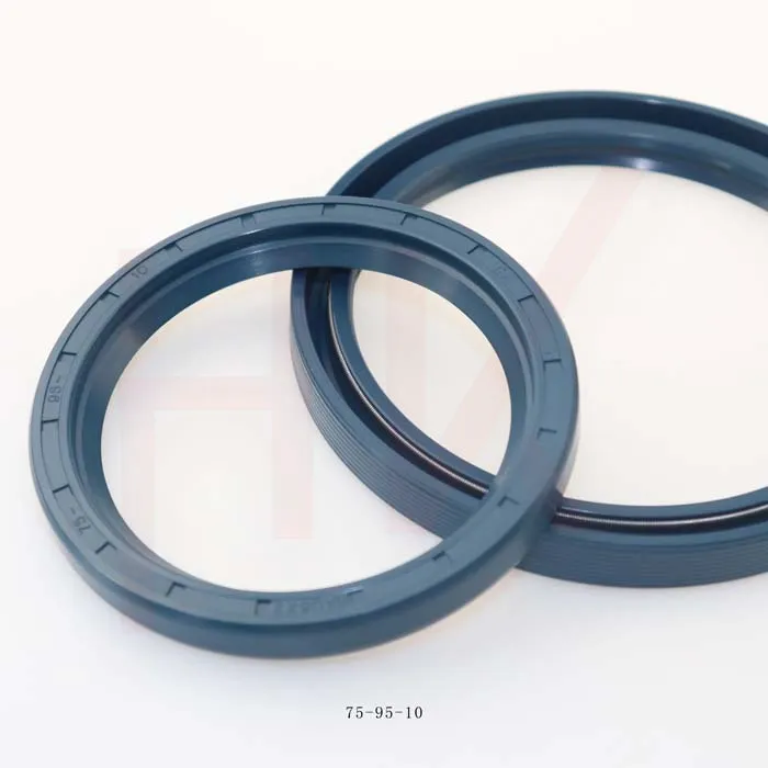 dual loader cylinder seals