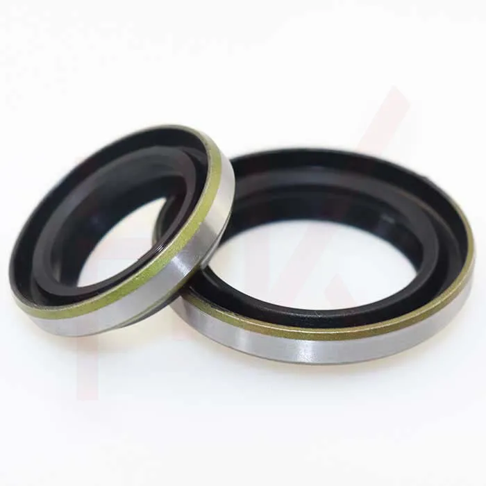 double wiper seal