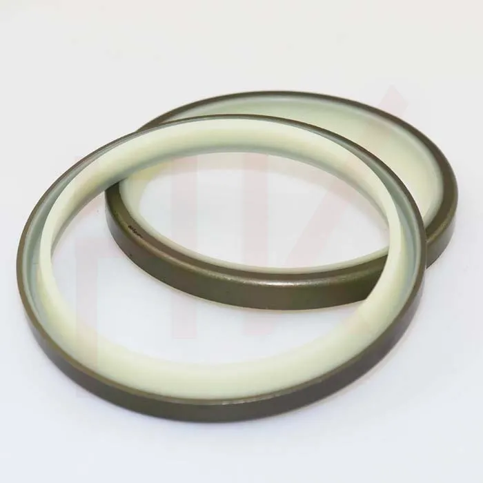 combi oil seal